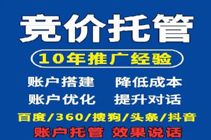 大型企业SEM外包实战案例